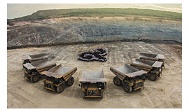 LotusHall Mining performed card stunts of loyalty