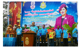 Activity on Mother's Day 2016